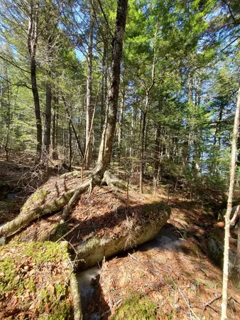 $250,000 | 0 Cody Way, Lakeville, ME 04487