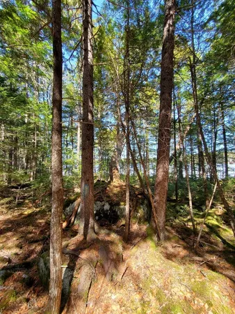 $250,000 | 0 Cody Way, Lakeville, ME 04487