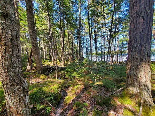 $250,000 | 0 Cody Way, Lakeville, ME 04487