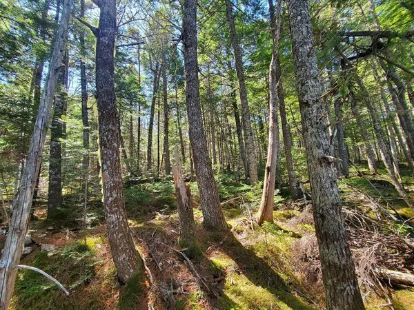 $250,000 | 0 Cody Way, Lakeville, ME 04487