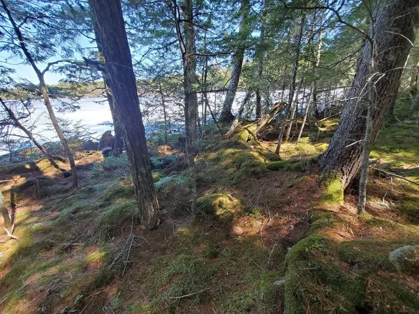 $250,000 | 0 Cody Way, Lakeville, ME 04487