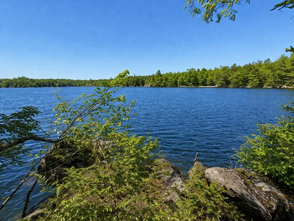 $250,000 | 0 Cody Way, Lakeville, ME 04487