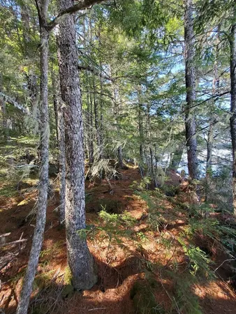 $250,000 | 0 Cody Way, Lakeville, ME 04487