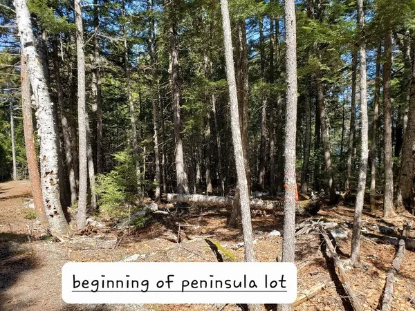 $250,000 | 0 Cody Way, Lakeville, ME 04487