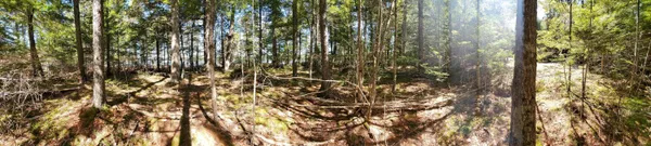 $250,000 | 0 Cody Way, Lakeville, ME 04487