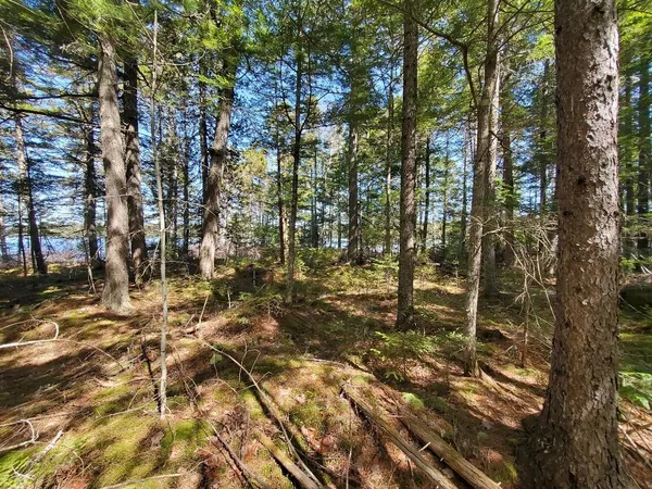 $250,000 | 0 Cody Way, Lakeville, ME 04487