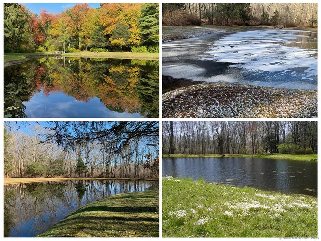 a view of yard with flowers and flowers