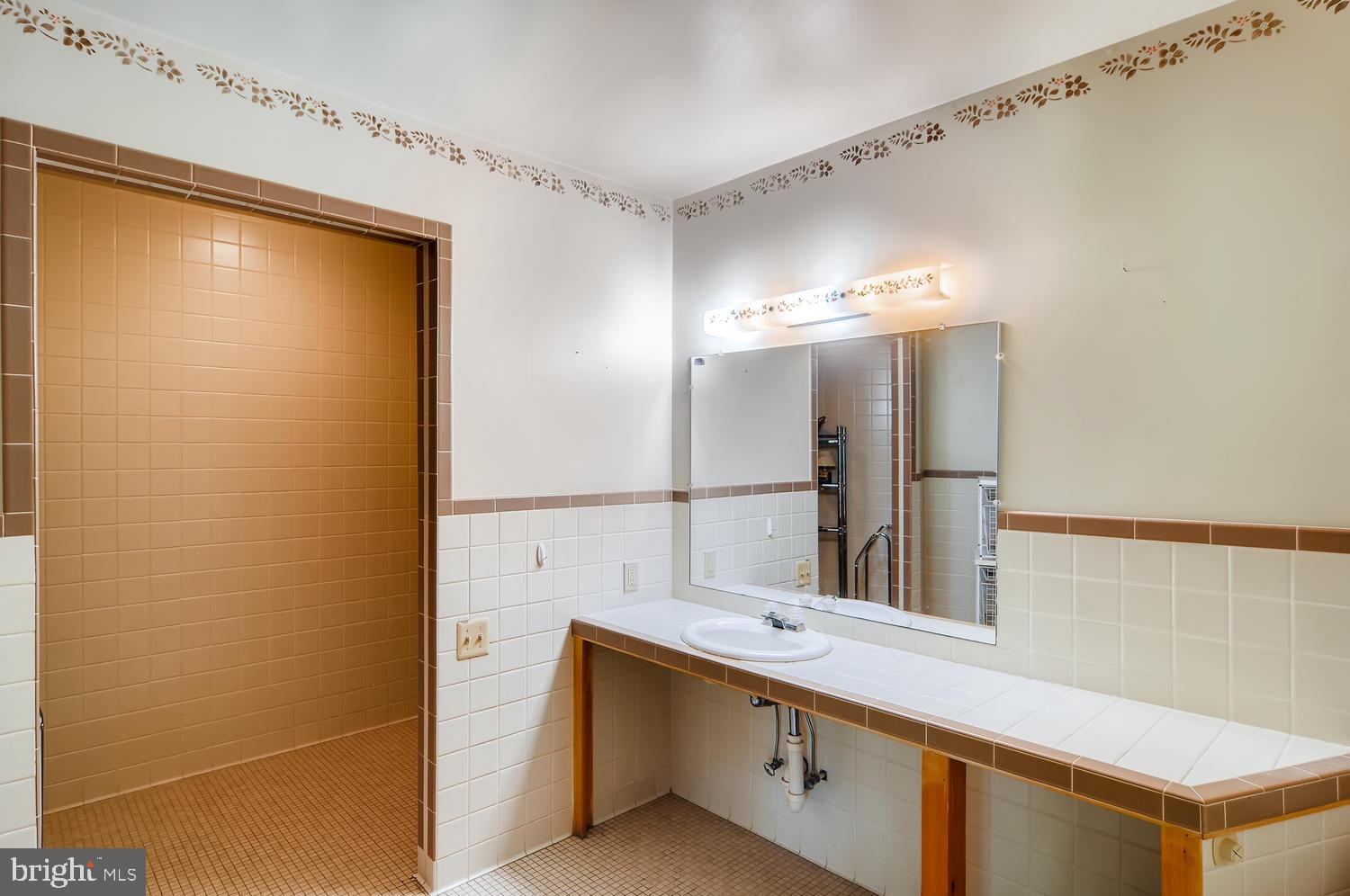 20830 Millers Mill Road Freeland, MD 21053 - Photo 18 of 28 Master Bath