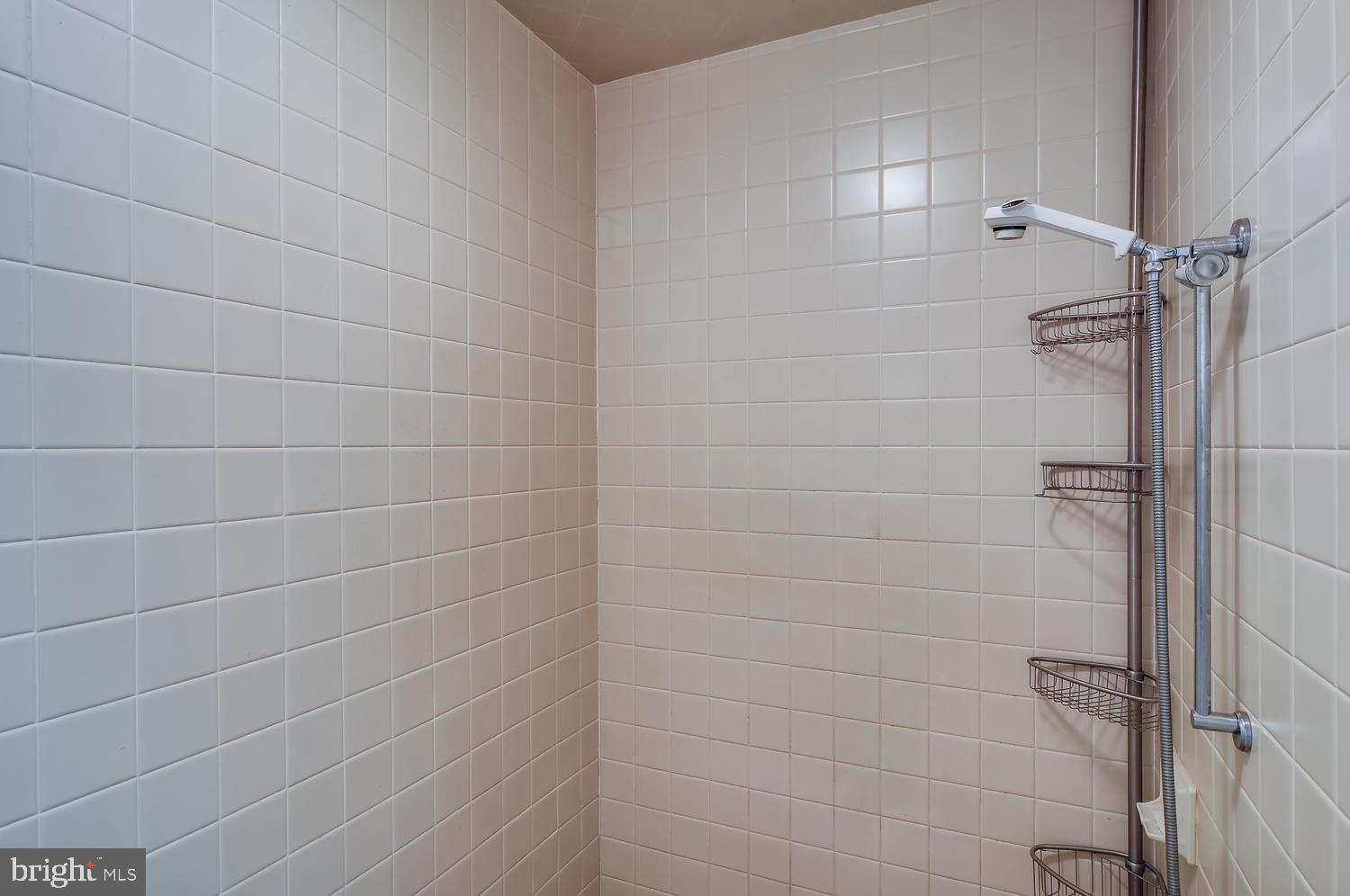 20830 Millers Mill Road Freeland, MD 21053 - Photo 19 of 28 Master Bath