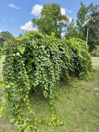 $525,000 | 1154 10th Avenue, Graceville, FL 32440