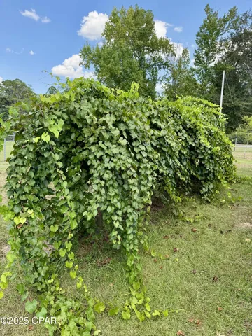 $540,000 | 1154 10th Avenue, Graceville, FL 32440