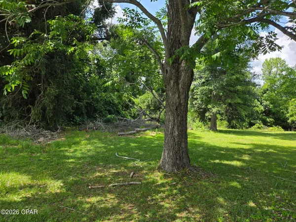 $17,000 | 4164 Baltzell Street, Marianna, FL 32446