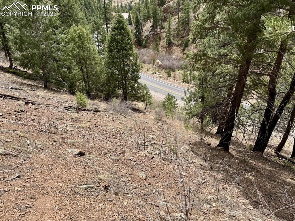 13526 Highway 67 Divide, CO 80814 - Photo 6 of 8 a view of a forest with trees in the background