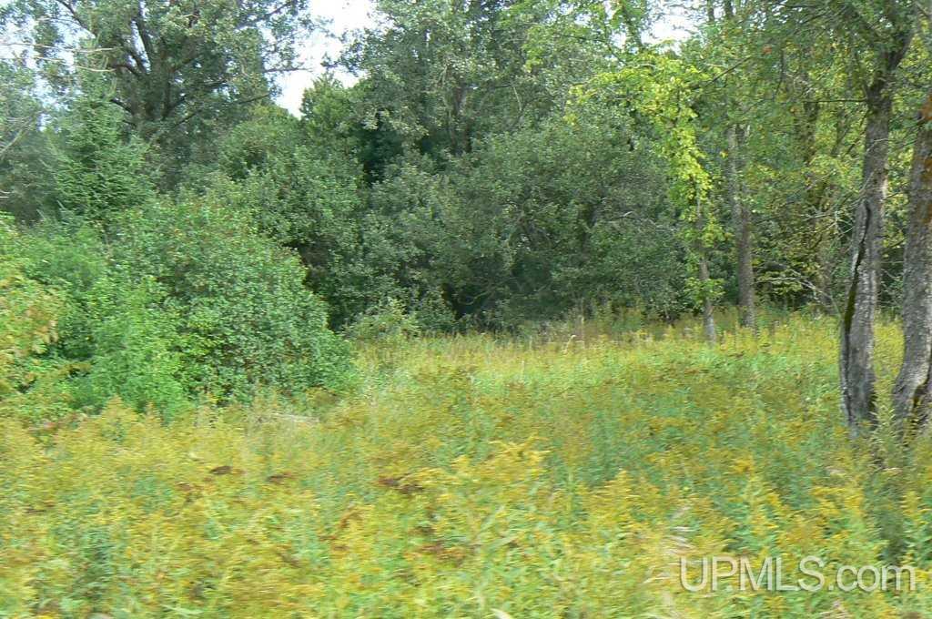 Tbd North Tbd N Eben Road Eben Junction, MI 49825 - Photo 6 of 6