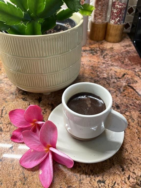 2611 Northeast 20th Street Pompano Beach, FL 33062 - Photo 15 of 41 Photo 15