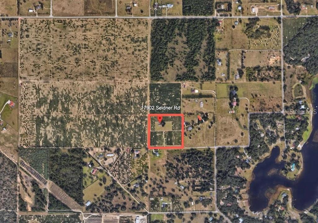 17902 Seidner Road Winter Garden, FL 34787 - Photo 2 of 3