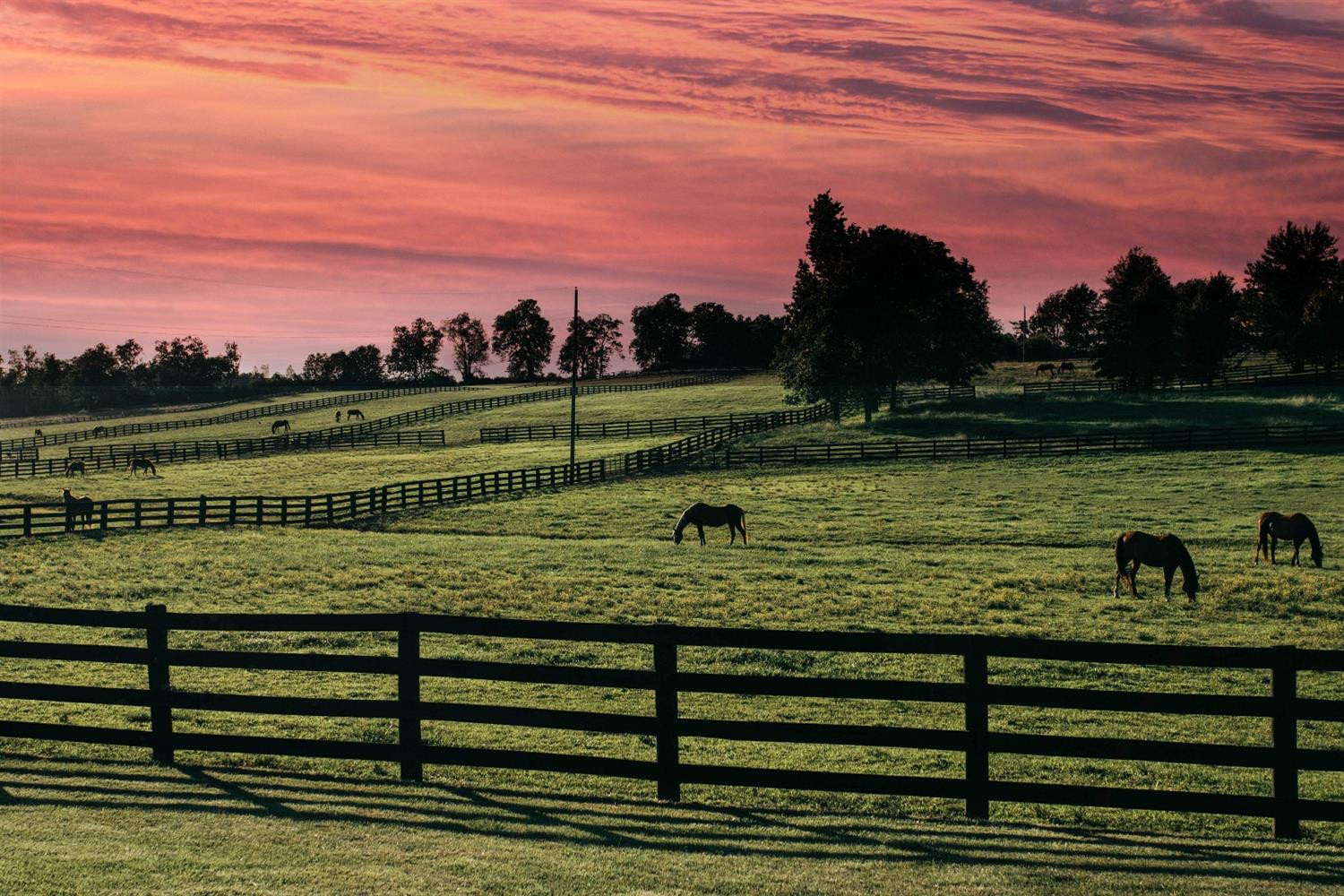 1727 McCowans Ferry Road Versailles, KY 40383 - Photo 55 of 57 Photo 55