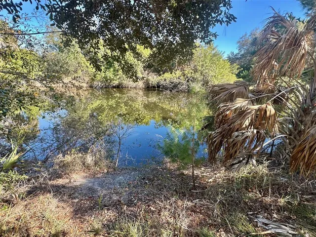 a house with trees in front of it