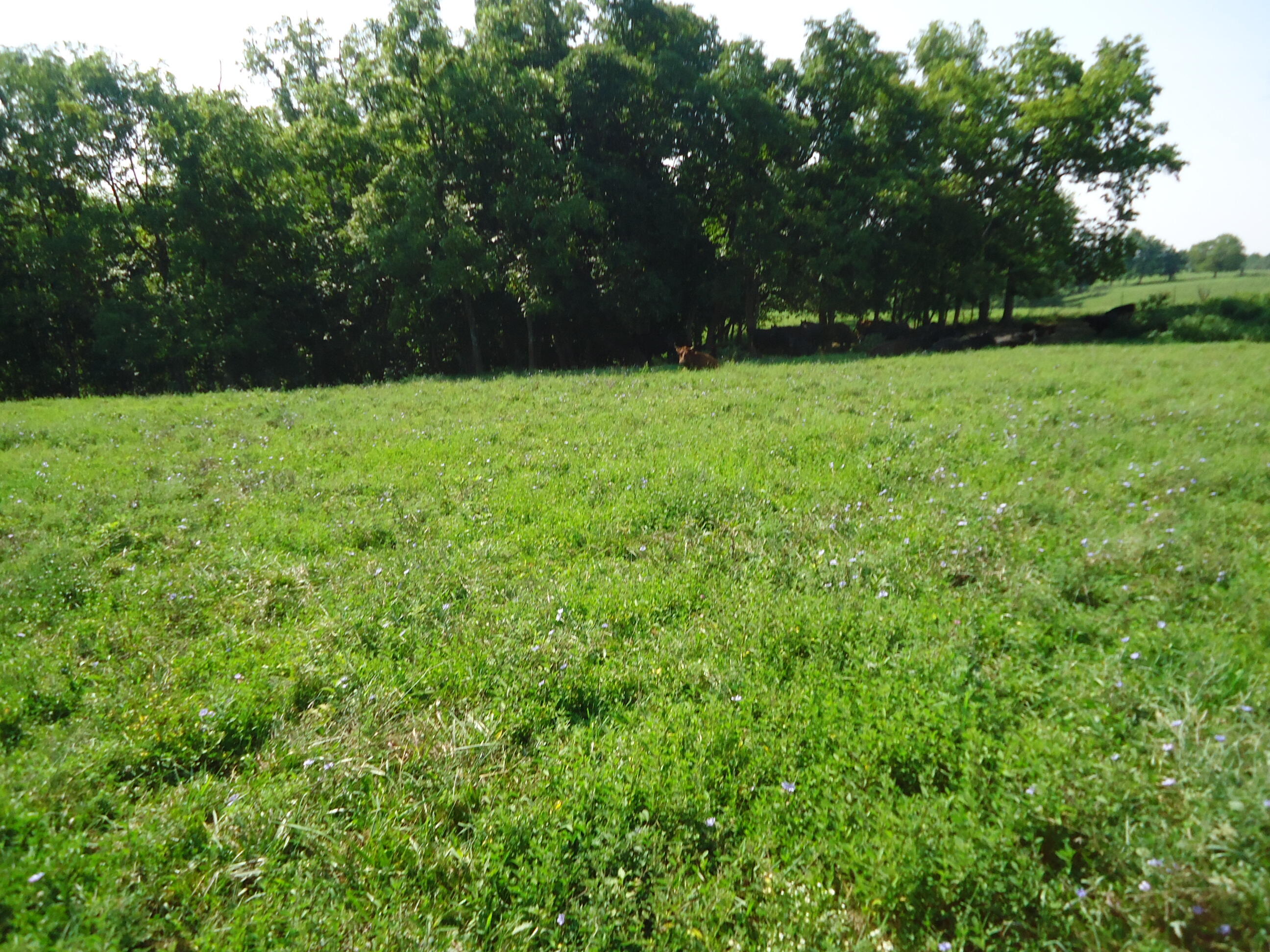 1 Sugar Creek Road Lancaster, KY 40444 - Photo 22 of 36 DSC01880