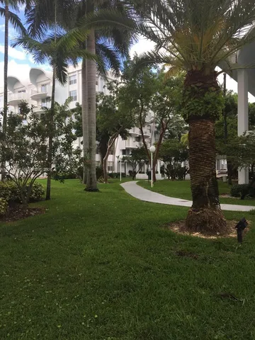 a view of a park with large trees