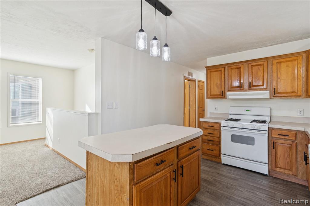 4004 Howe Road Wayne, MI 48184 - Photo 10 of 42