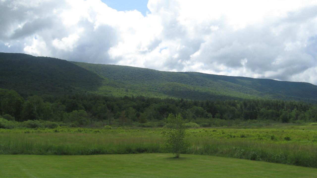 1400 Main Road Stamford, VT 05352 - Photo 3 of 6 a view of a big yard