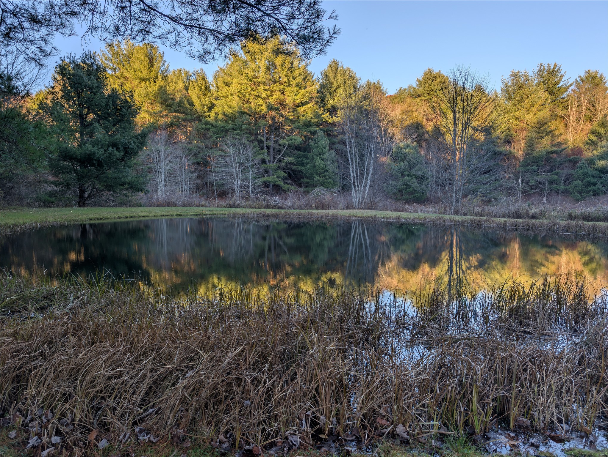 522 Cascade Valley Road Windsor, NY 13865 - Photo 12 of 50