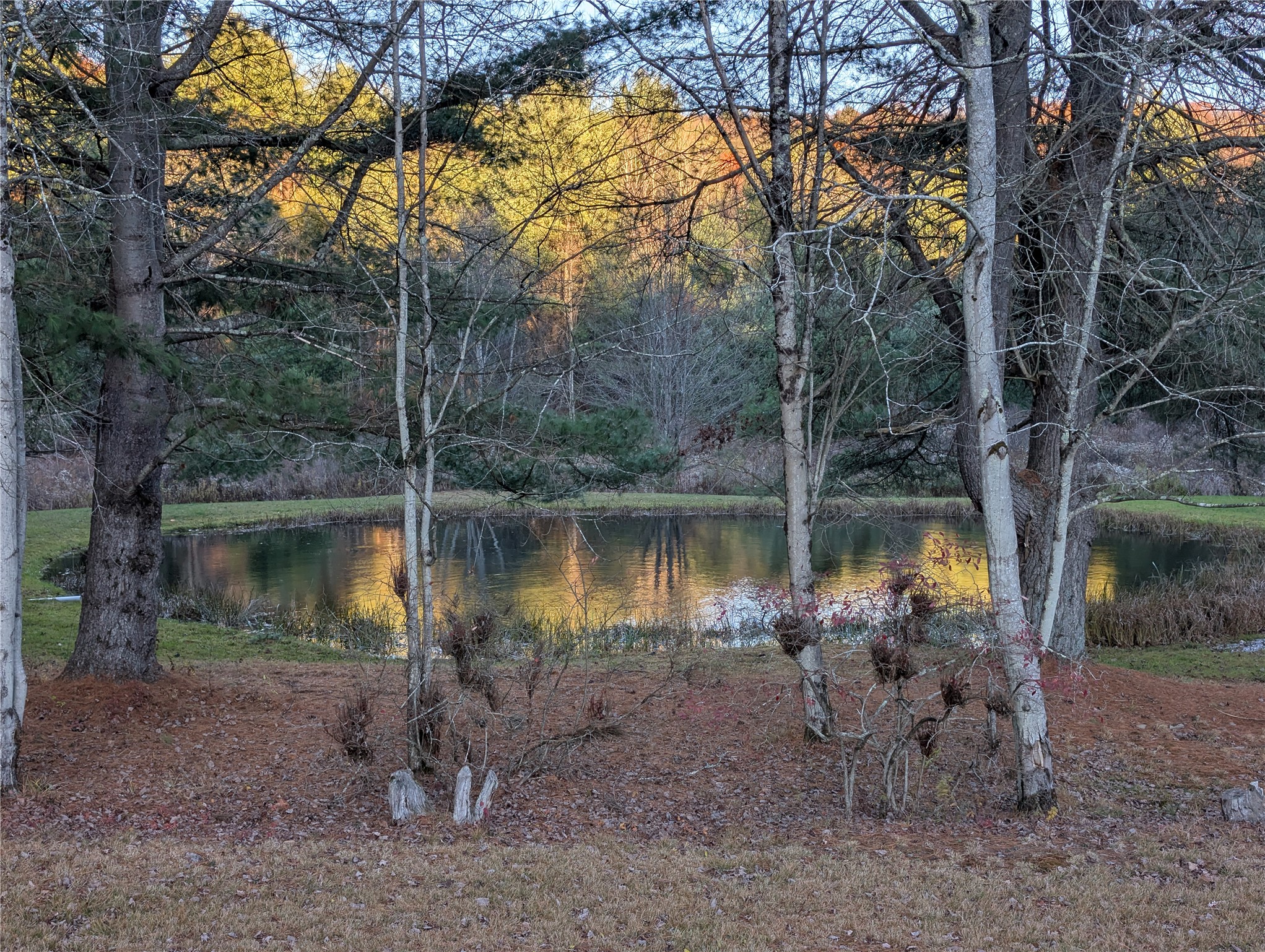522 Cascade Valley Road Windsor, NY 13865 - Photo 13 of 50