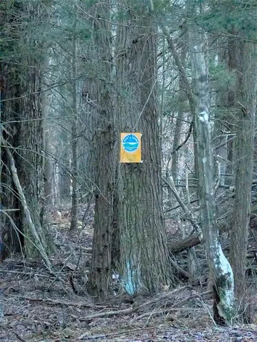 $530,000 | 522 Cascade Valley Road, Windsor, NY 13865