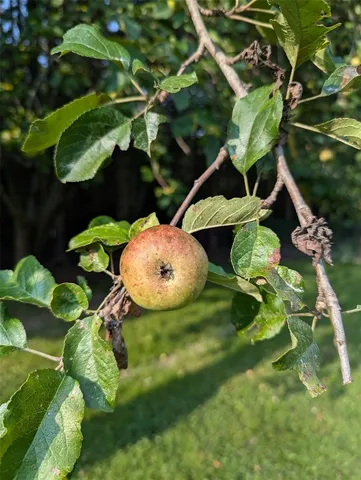 $530,000 | 522 Cascade Valley Road, Windsor, NY 13865