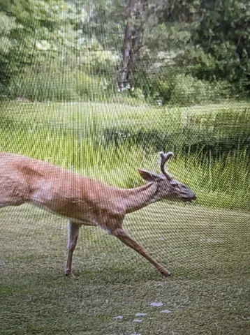 $530,000 | 522 Cascade Valley Road, Windsor, NY 13865