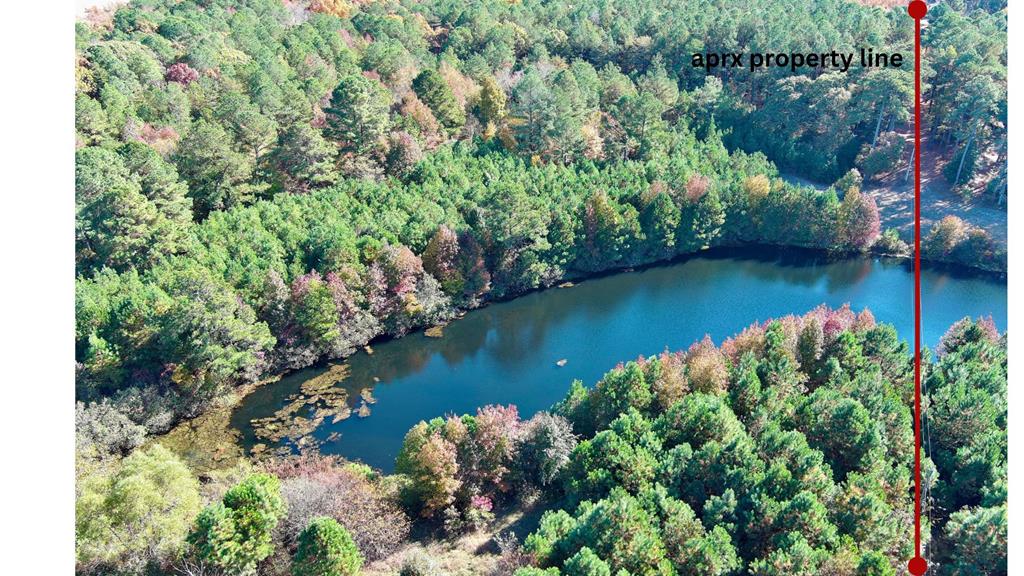 Lot 131 Metompkin Road, Unit 131 Parksley, VA 23421 - Photo 12 of 12