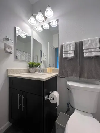 a bathroom with a sink a toilet and a mirror