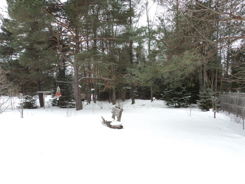 3541 French Road Alpena, MI 49707 - Photo 3 of 25 Gallery Image 3