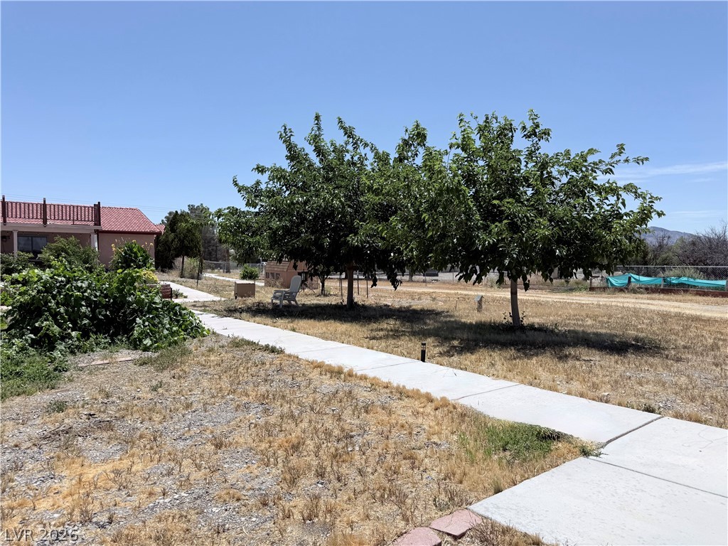 1220 East Gamebird Road Pahrump, NV 89048 - Photo 27 of 49 Mature trees offer shade across the spacious yard, enhancing this property's serene appeal.