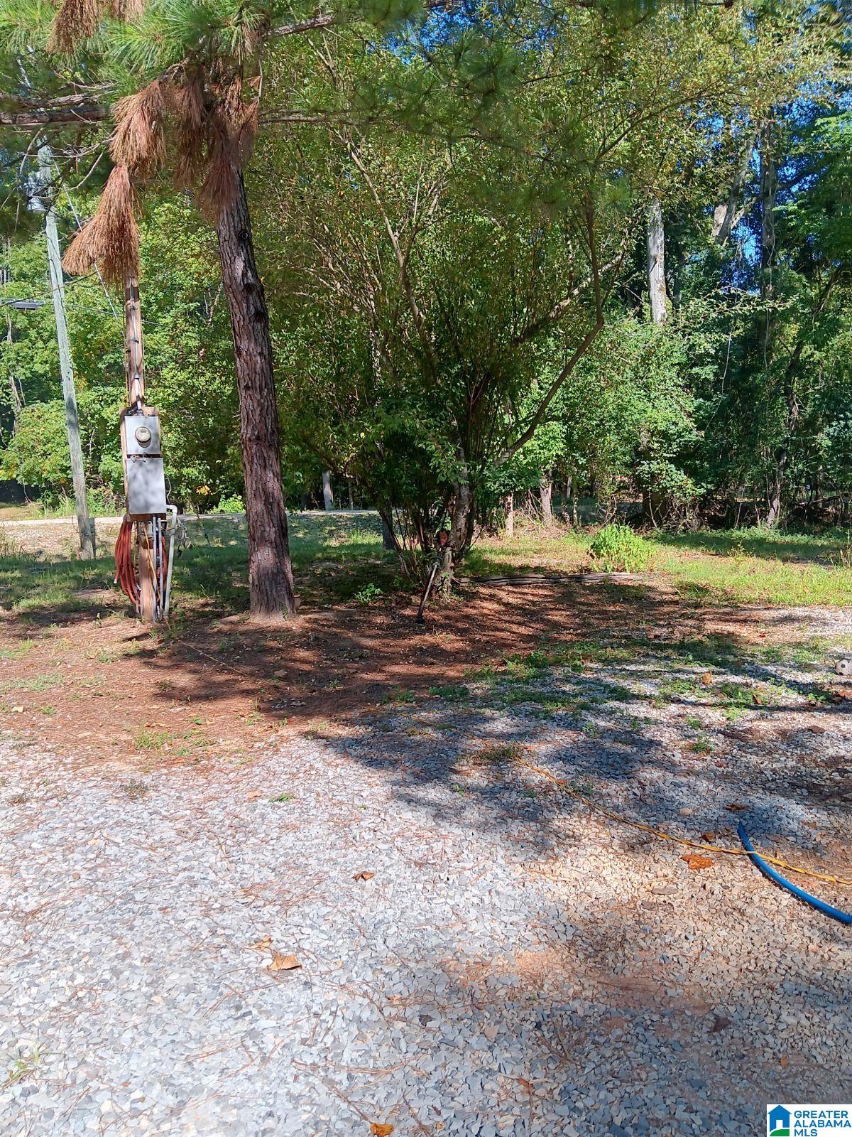 410 Rocky Branch Road Centreville, AL 35042 - Photo 4 of 6
