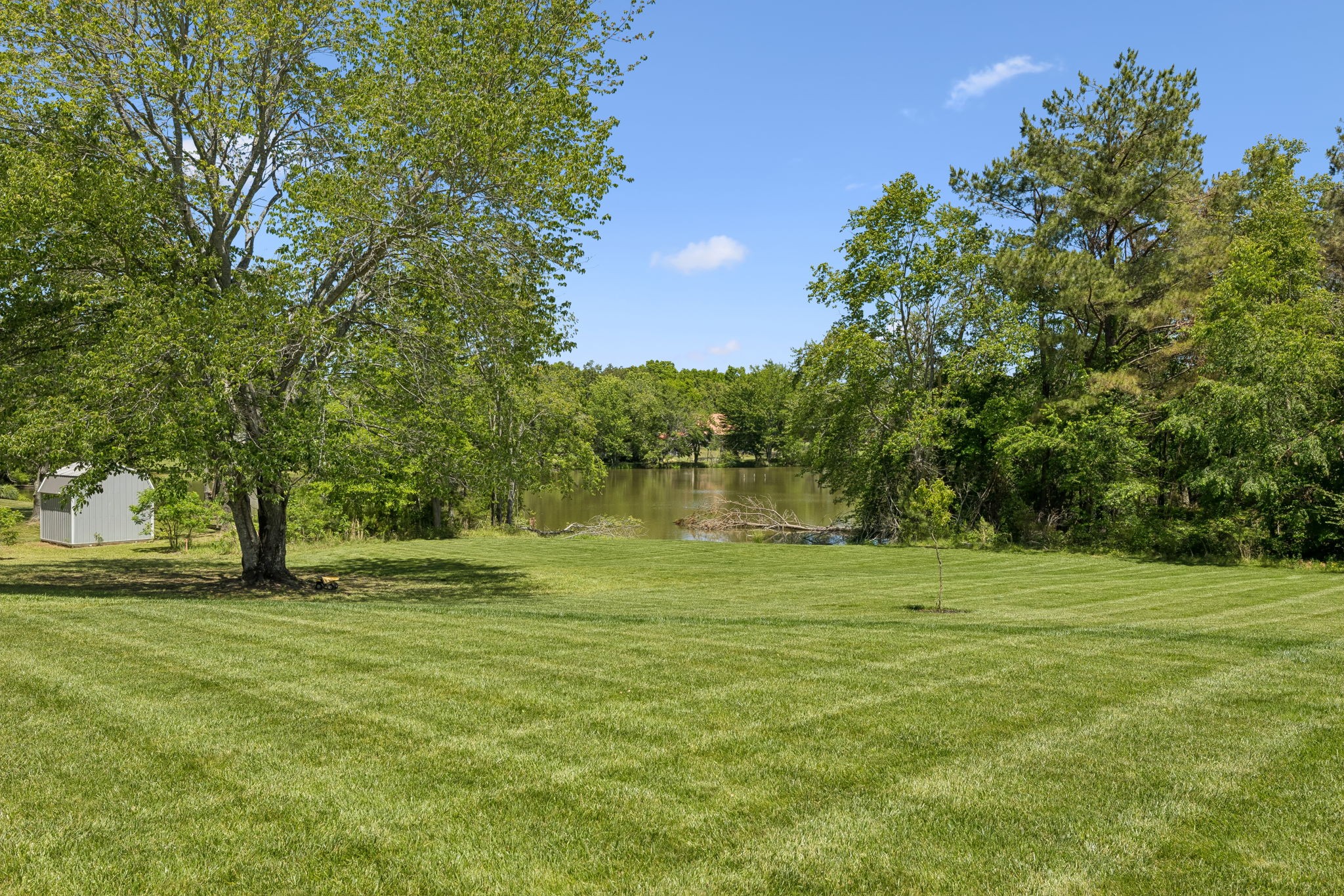 109 Indian Creek Road Hohenwald, TN 38462 - Photo 52 of 69 a big yard with trees in the background