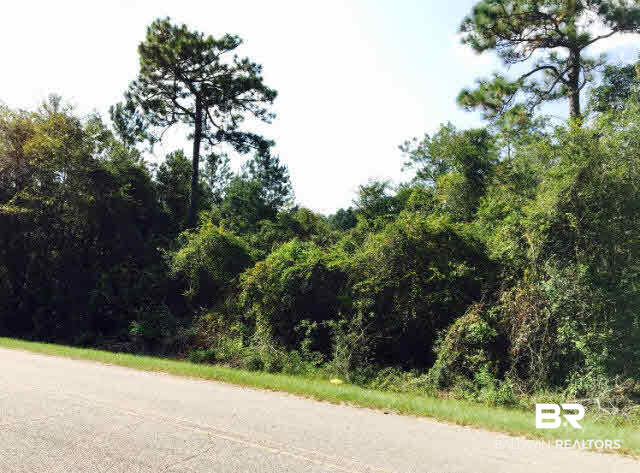 0 County Road 7 Range, AL 36473 - Photo 3 of 3