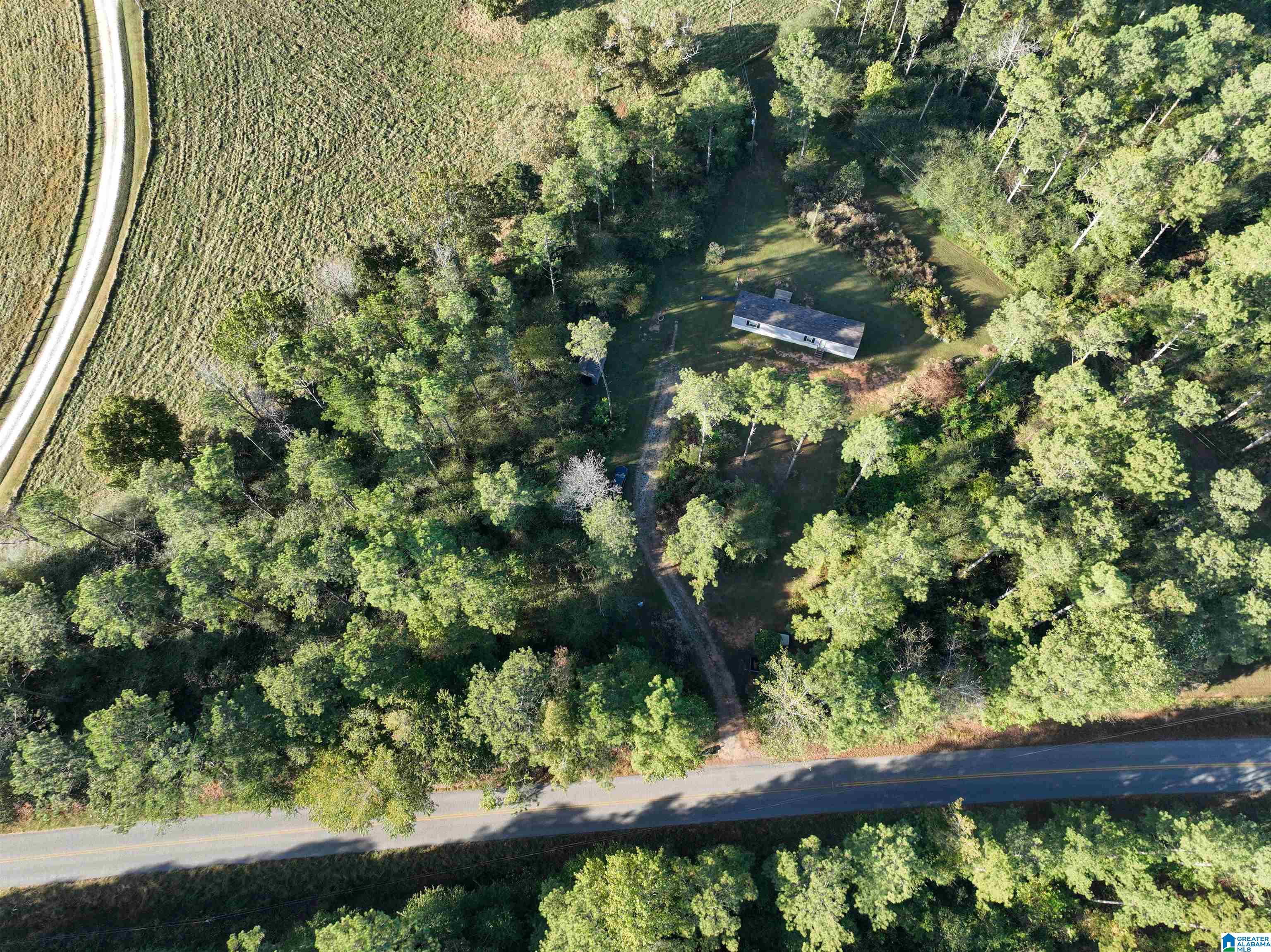 3519 County Road 95 Ranburne, AL 36273 - Photo 9 of 35