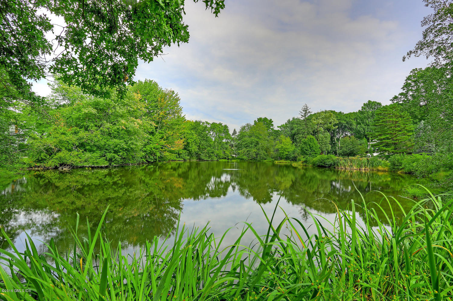 12 Lake Drive, Unit SOUTH Riverside, CT 06878 - Photo 18 of 21 a backyard of a house with lots of green space and garden