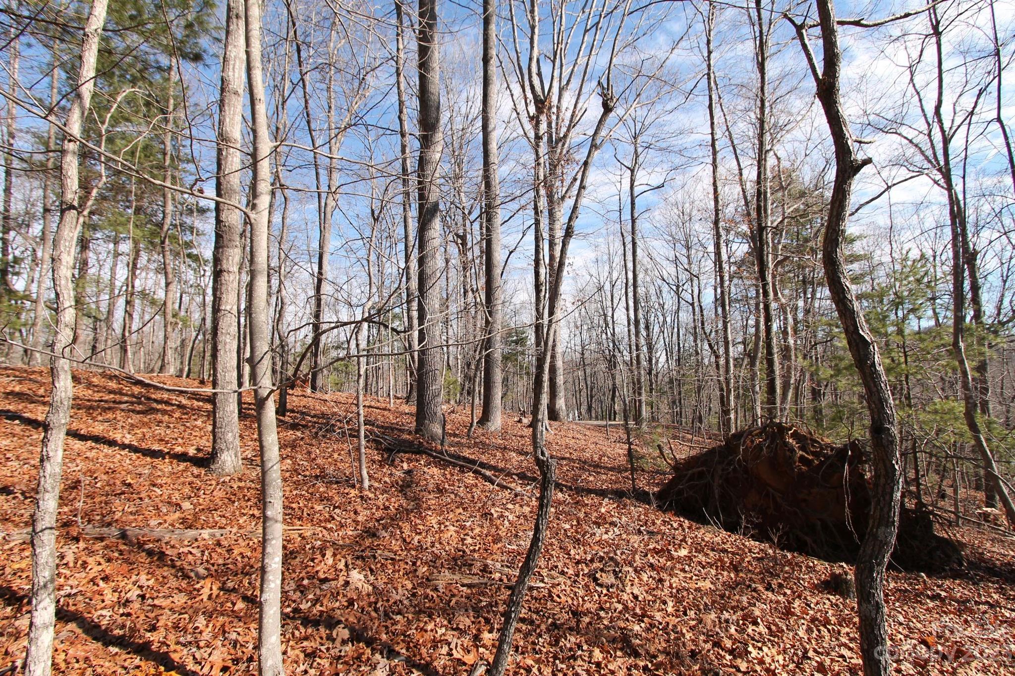 000 Howard Gap Road Saluda, NC 28773 - Photo 9 of 18 Gallery Image 9