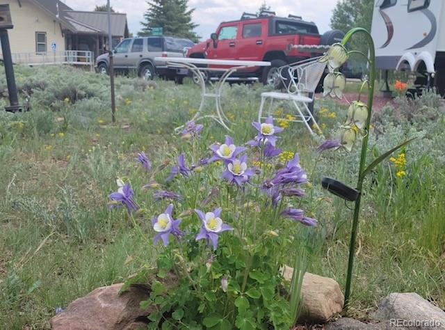 44 Clubcar Road Fairplay, CO 80440 - Photo 7 of 13 a backyard of a house with yard and fountain