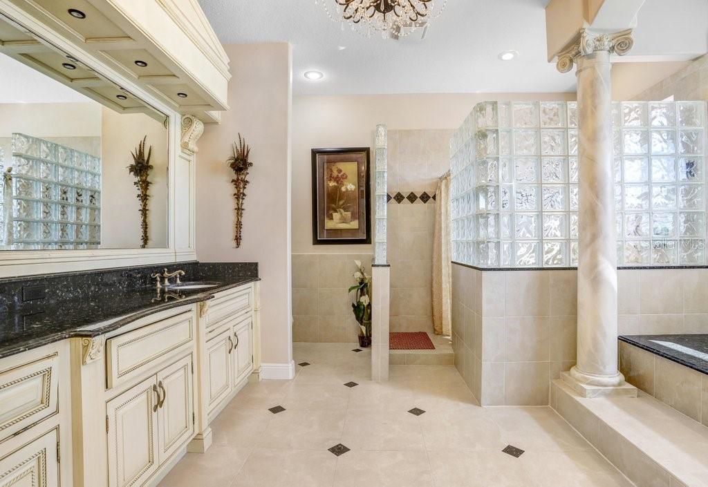 11715 Taylor Road Thonotosassa, FL 33592 - Photo 21 of 73 a bathroom with a granite countertop sink a mirror and a shower