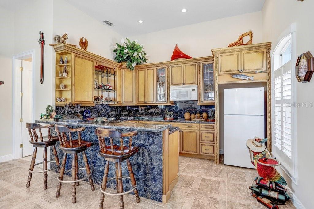 11715 Taylor Road Thonotosassa, FL 33592 - Photo 52 of 73 a kitchen with kitchen island granite countertop lots of counter top space and dining table
