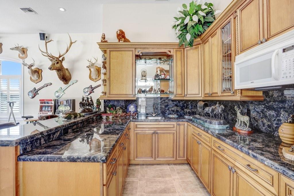 11715 Taylor Road Thonotosassa, FL 33592 - Photo 53 of 73 a kitchen with a sink stove and cabinets