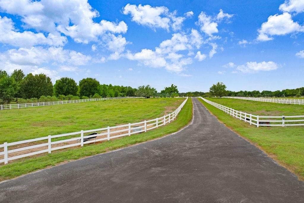11715 Taylor Road Thonotosassa, FL 33592 - Photo 73 of 73 a view of a lake with a big yard