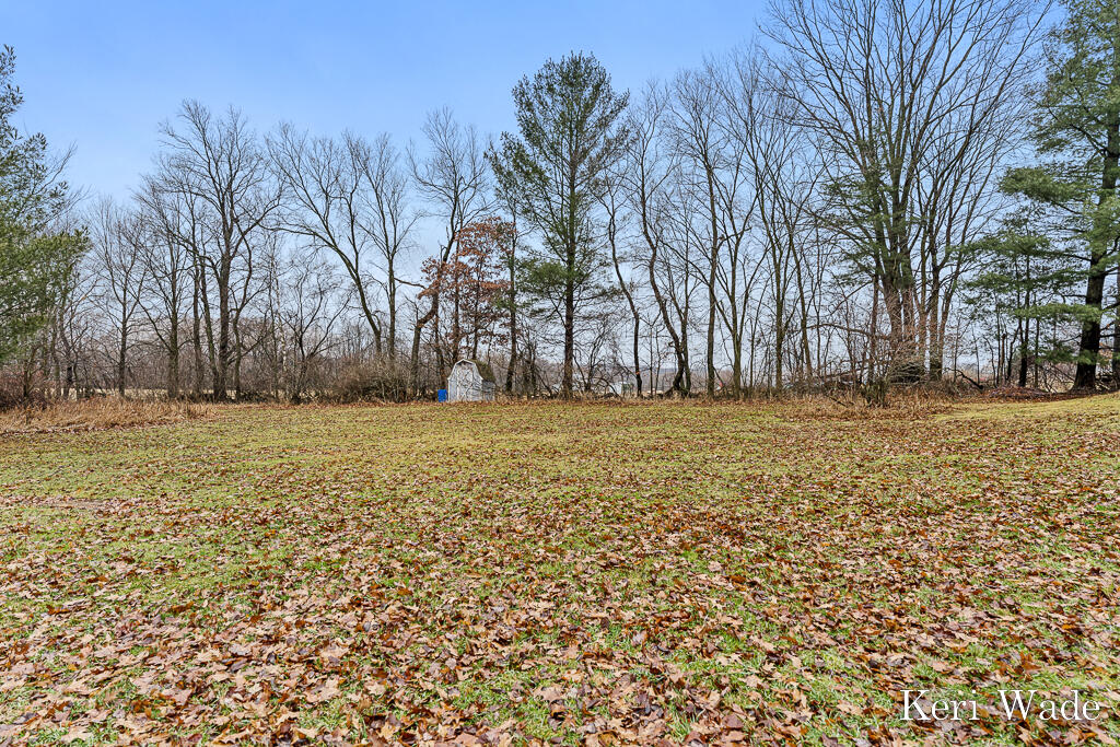 3450 Pinegrove Road Northeast Edmore, MI 48829 - Photo 8 of 51 3450PinegroveRd-8
