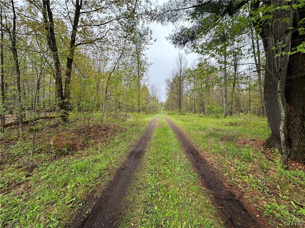 4815 Texas Road Croghan, NY 13619 - Photo 18 of 19