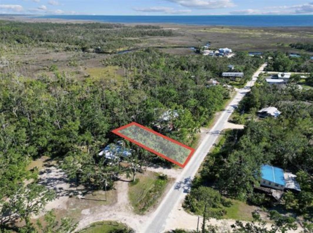 13878 Spring Warrior Road Perry, FL 32348 - Photo 1 of 20 Gallery Image 1
