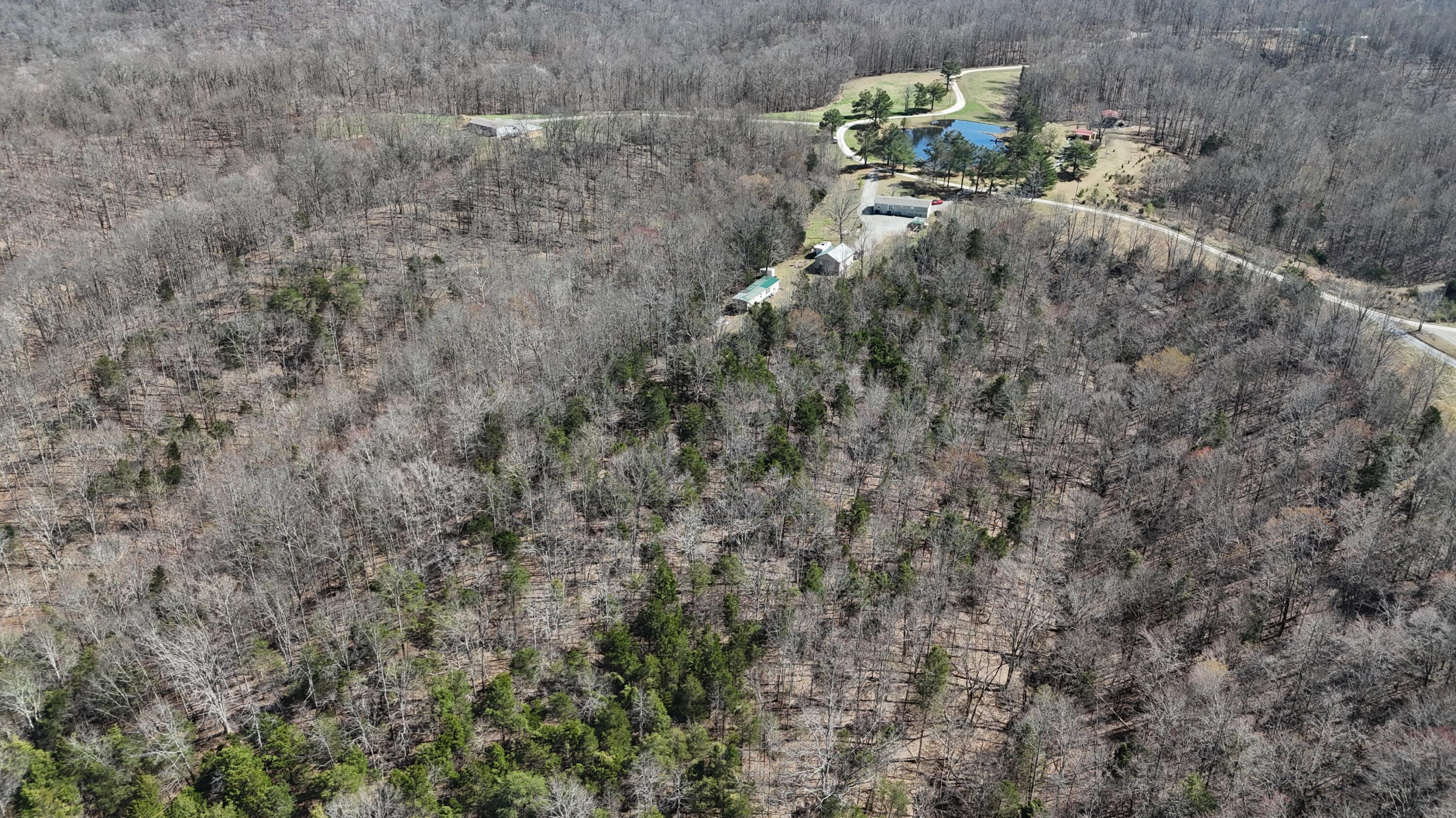 5488 Reese Hurt Road Breeding, KY 42715 - Photo 64 of 83 DJI_20260319141917_0189_D